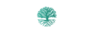 Nervetin Logo
